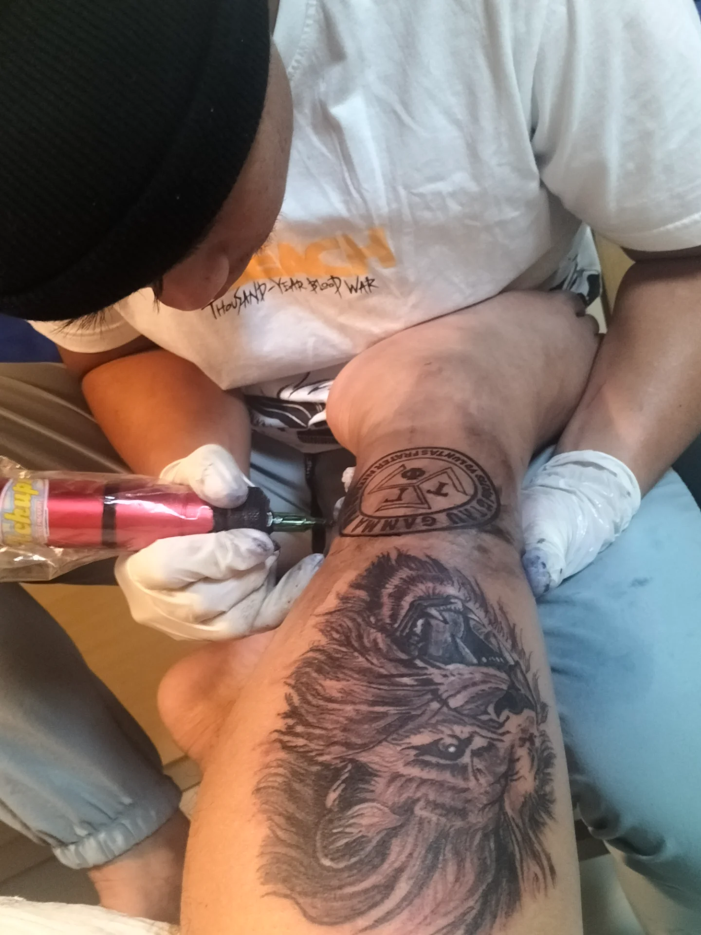 inbound5363967569535543519