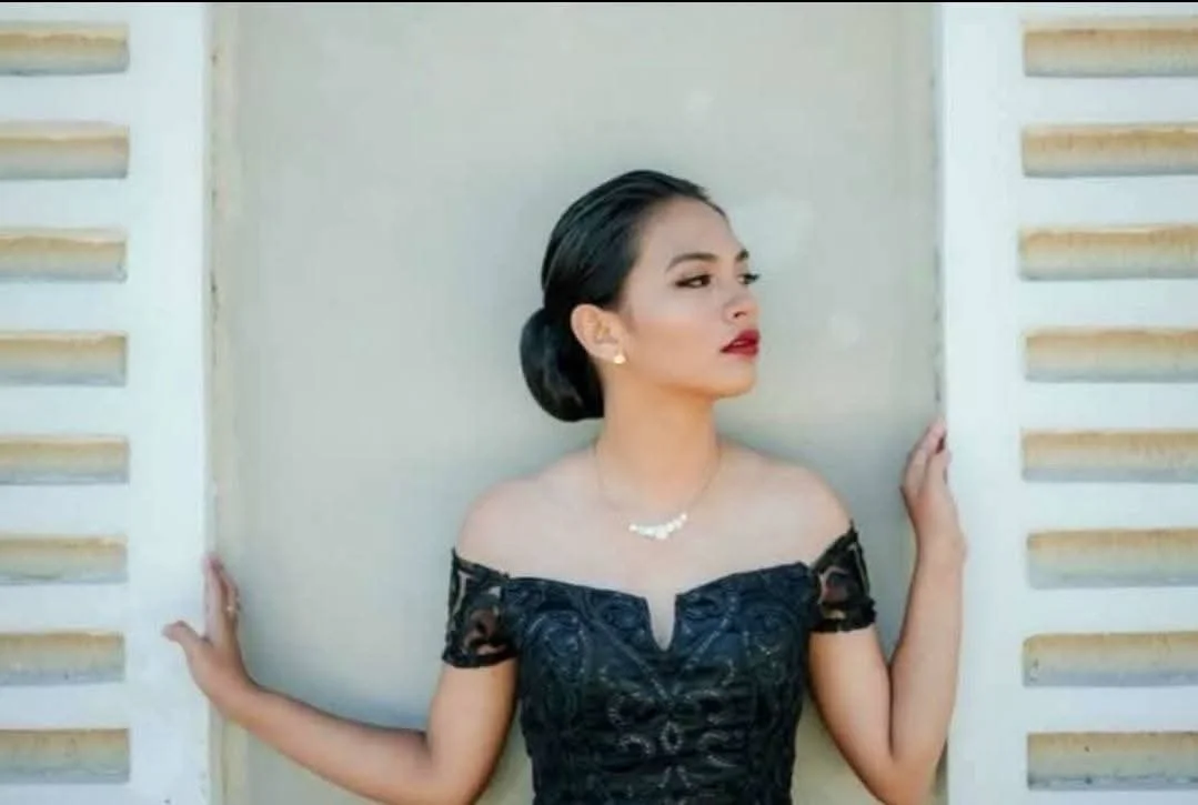 analizalaid19 portfolio work