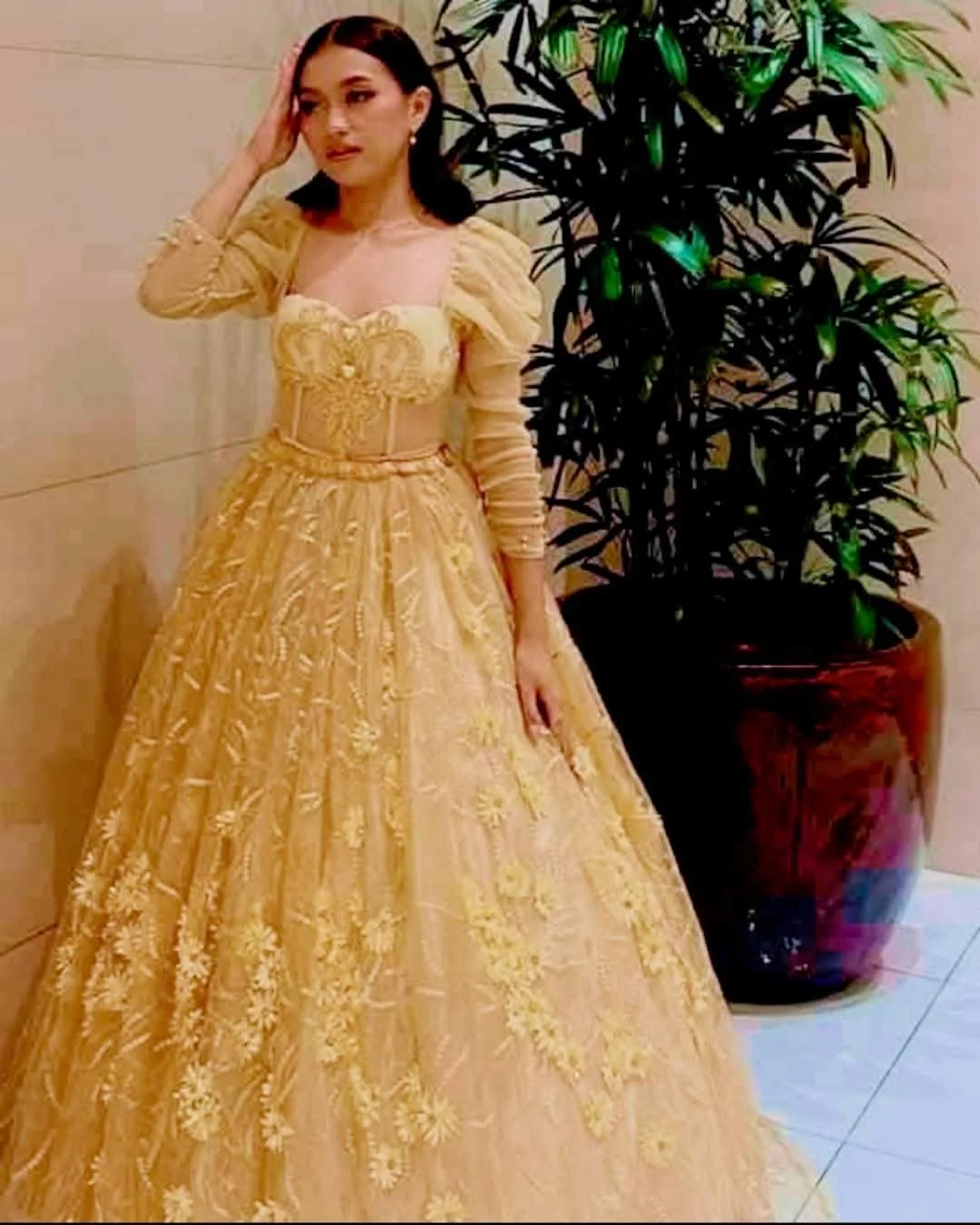 analizalaid19 portfolio work