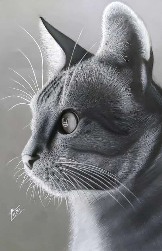 d36d07fa-9891-43ae-b281-7714c62ccc92