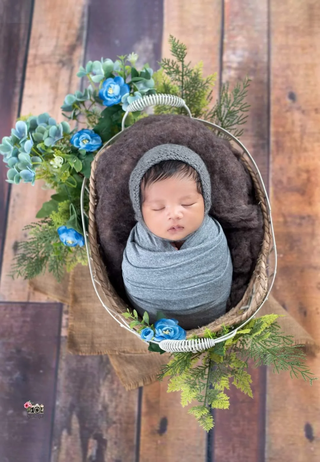 ShutterGirl portfolio work