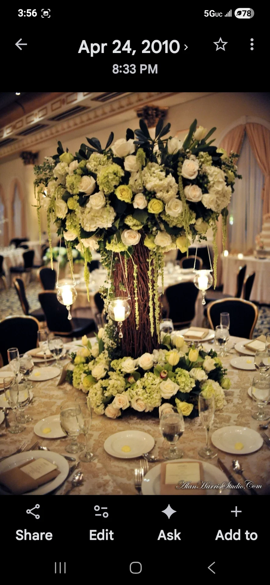 inbound8489494579968572282