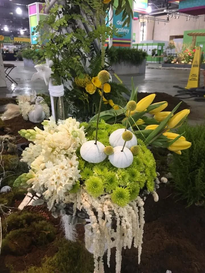 inbound8443998092244680481