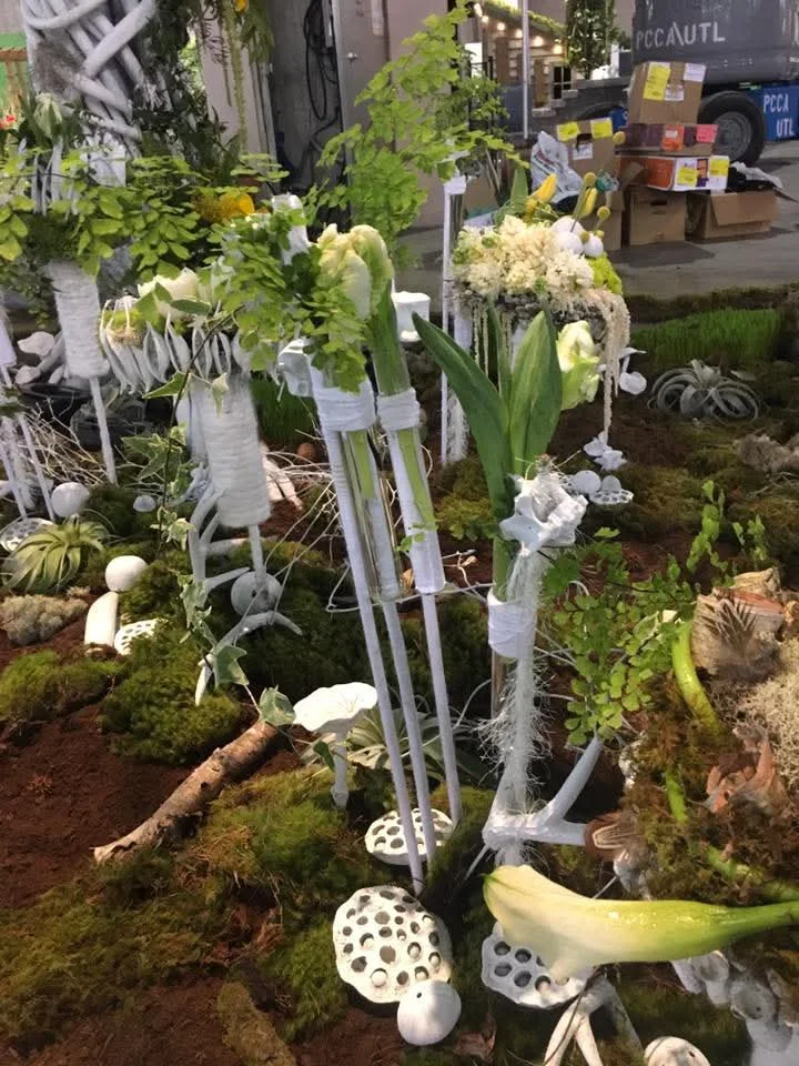 inbound265704597303847408