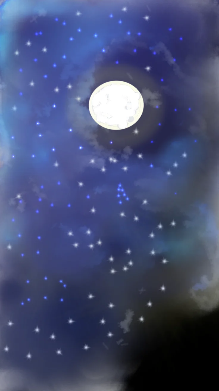 marky portfolio work