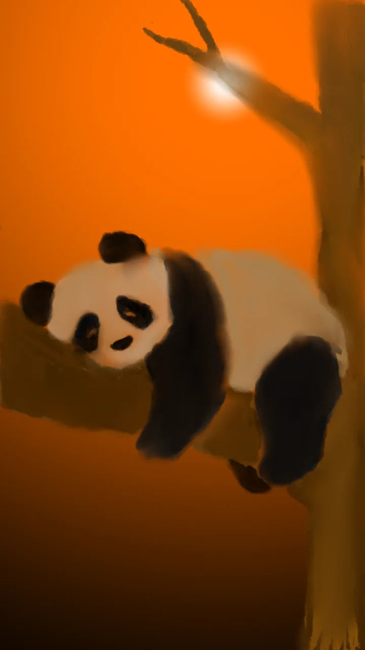 marky portfolio work