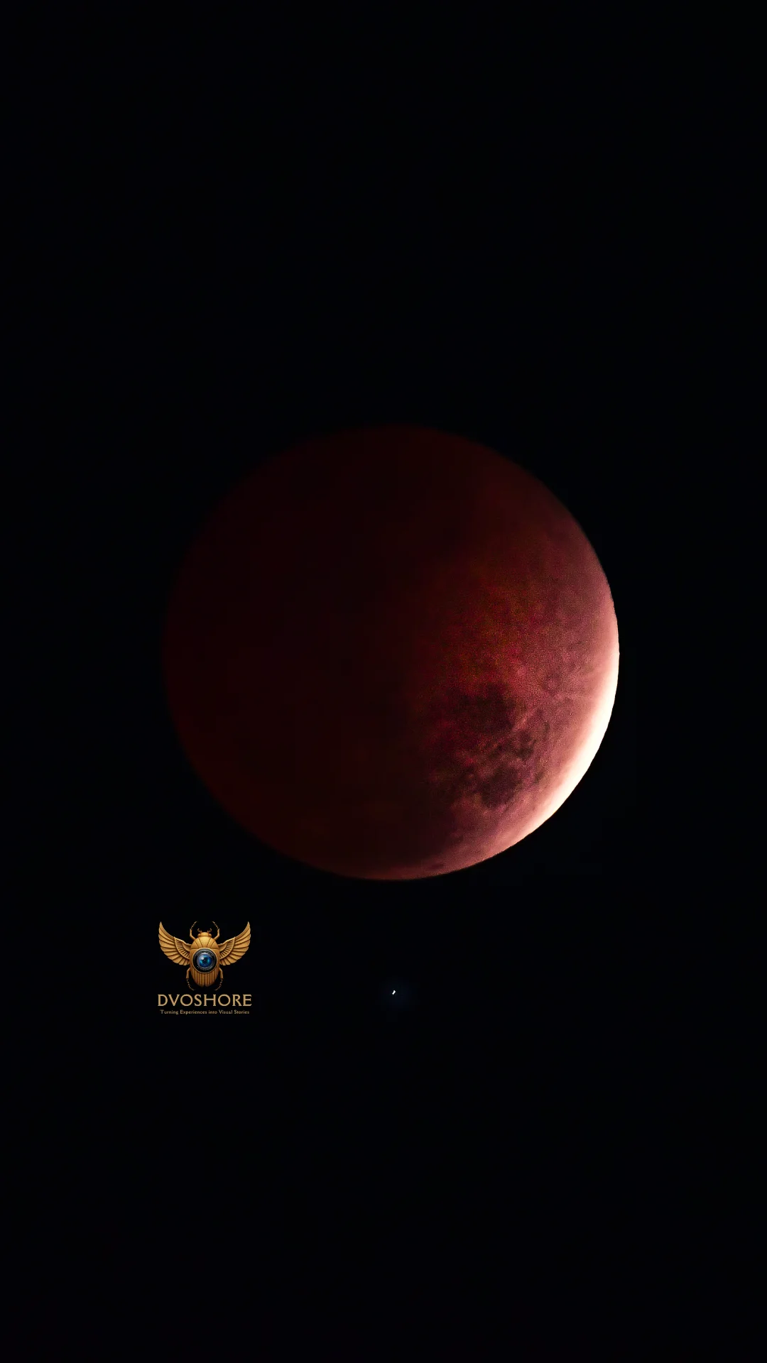 Rougene portfolio work