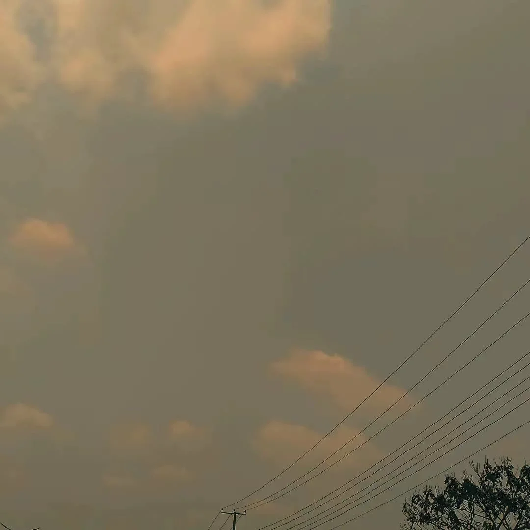 Olayemi  profile photo