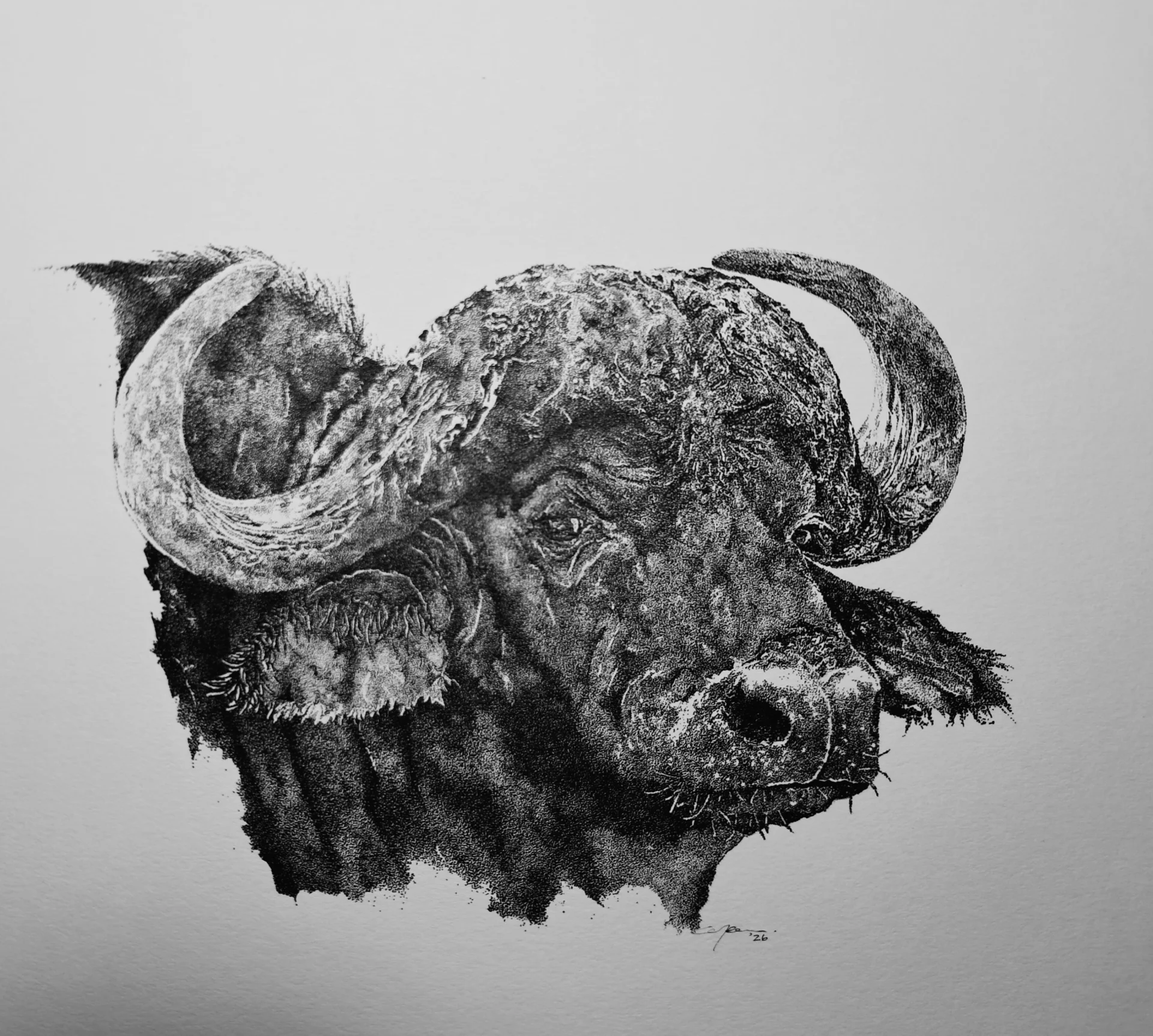 inbound3769066128750684822