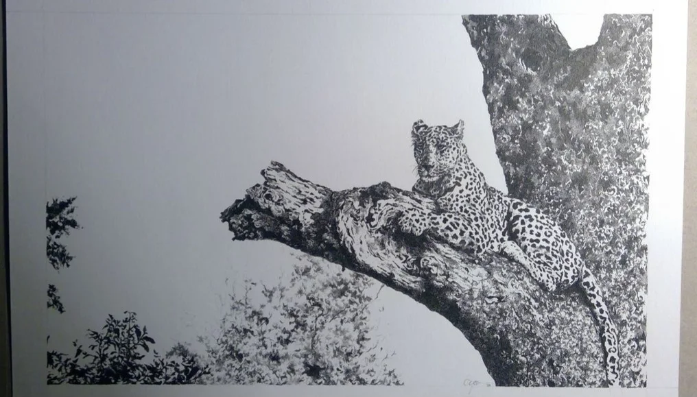 inbound3632178958236073327