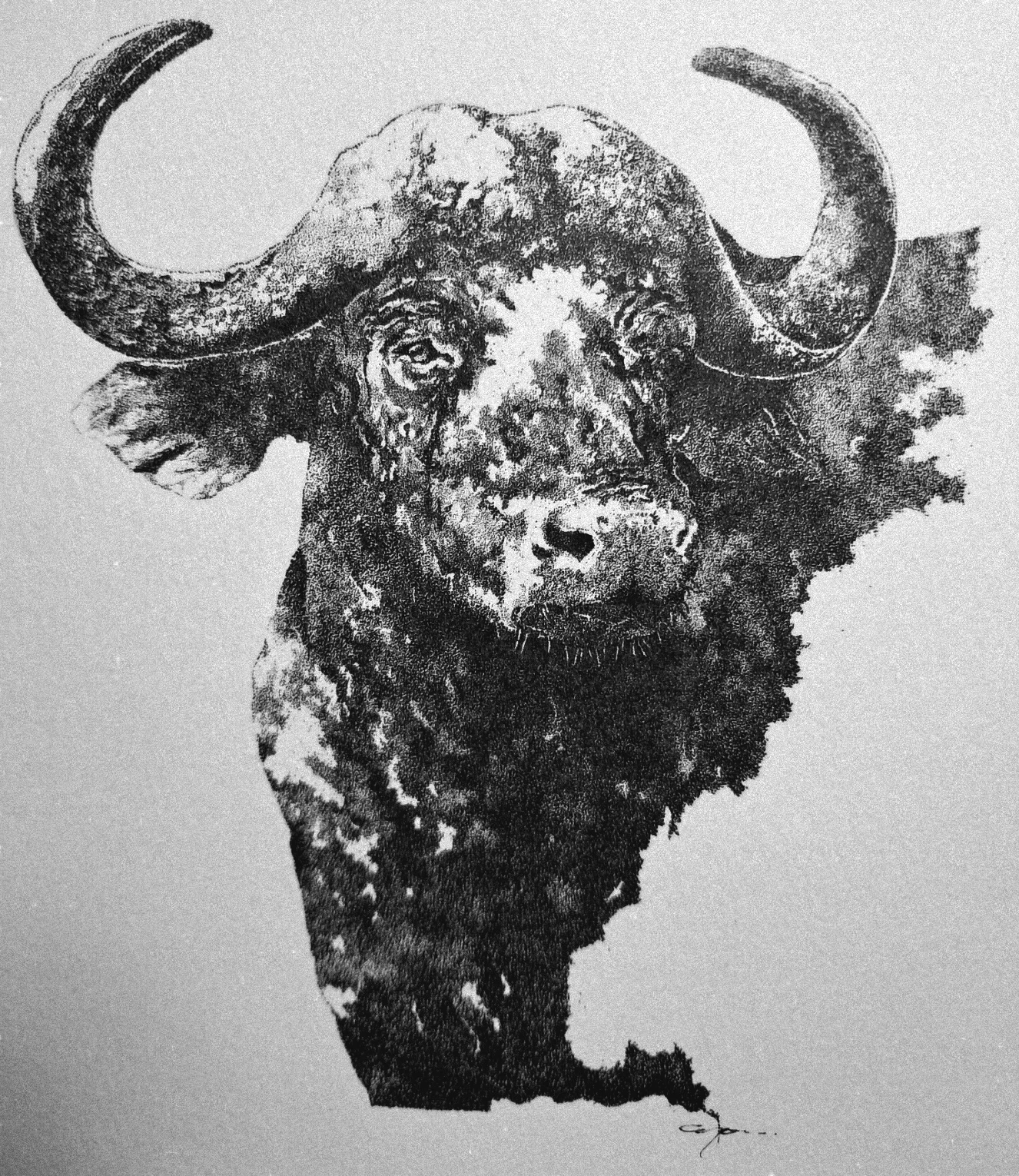 inbound5947692240122461991