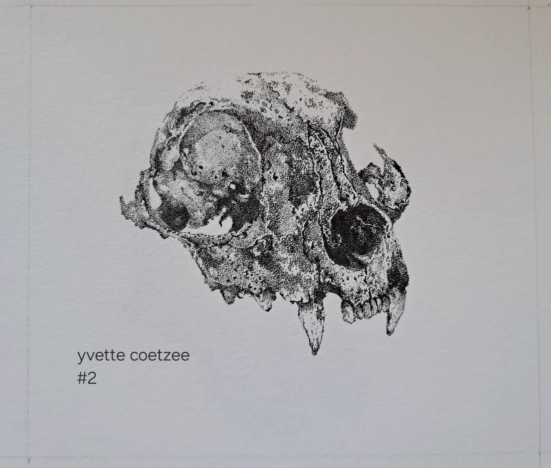 inbound9027734795968447717