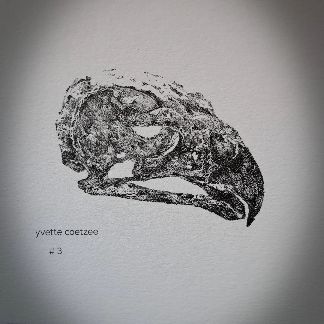 inbound7302378091207809020