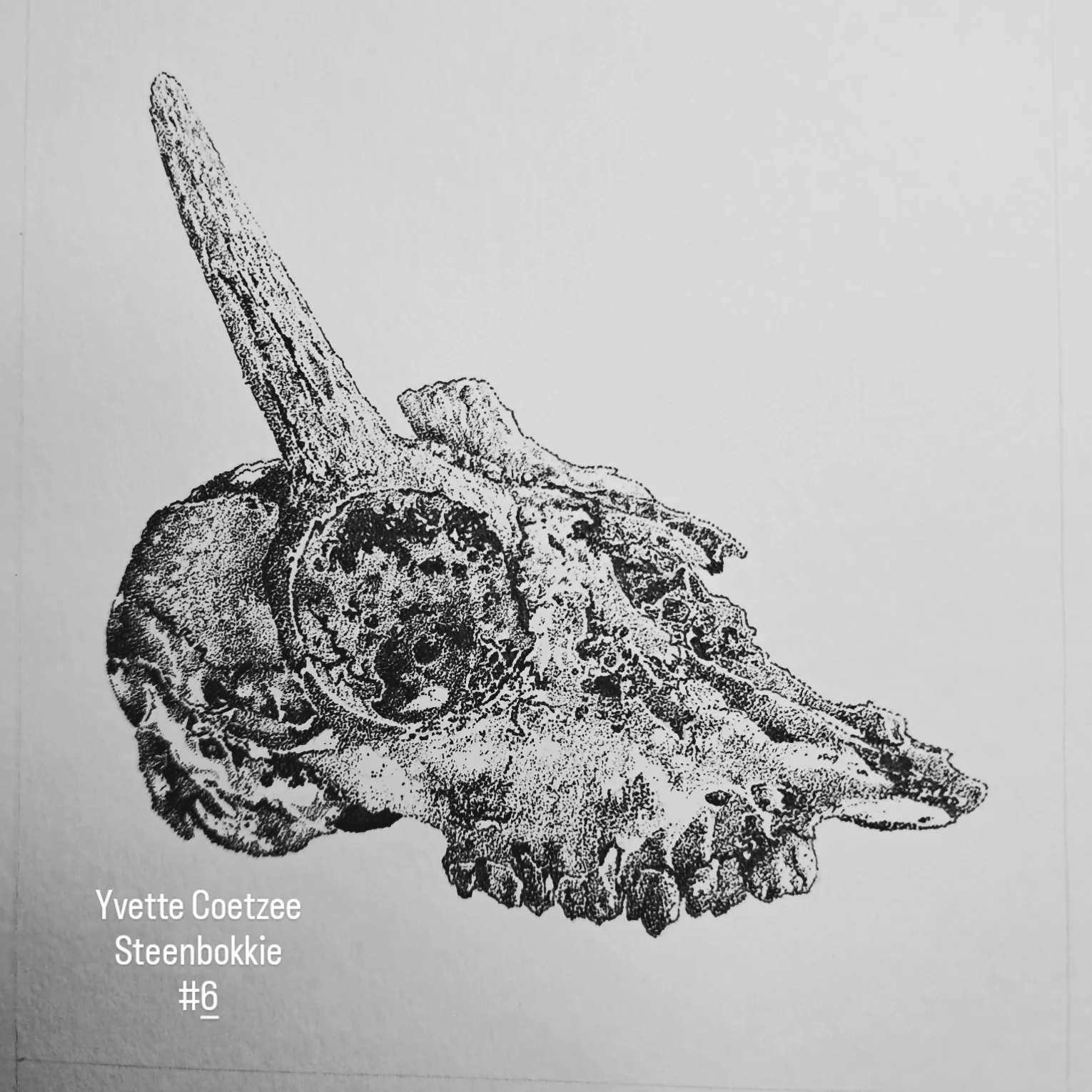 inbound5756668877459554510