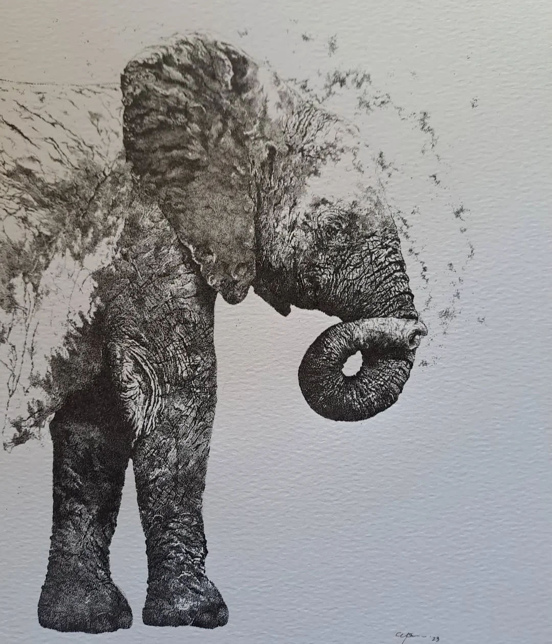 inbound6695356599440752843