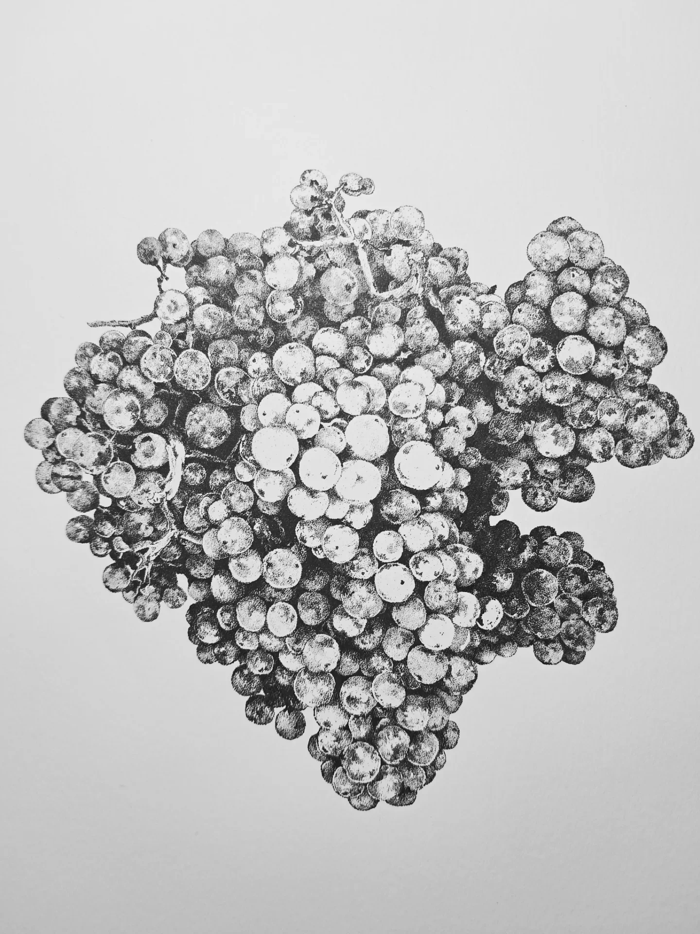 inbound2866303104509448841