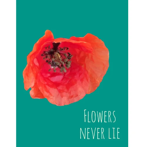 andkart portfolio work