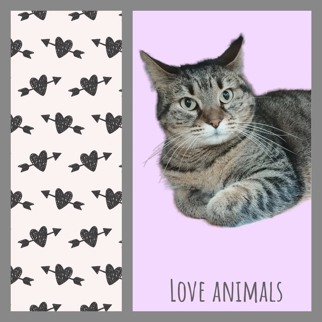 andkart portfolio work