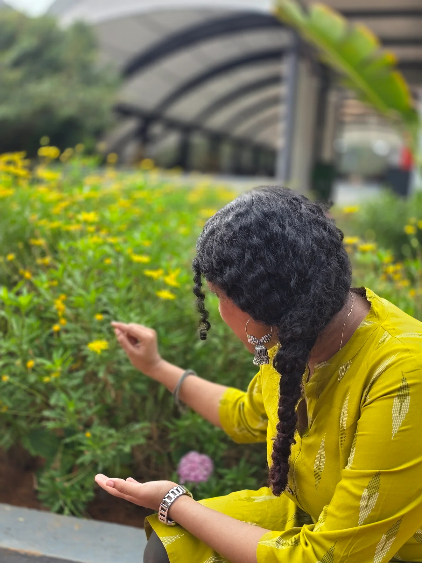 inbound6336976401996037578