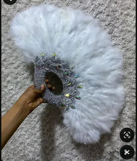 FB_IMG_17594297631457504