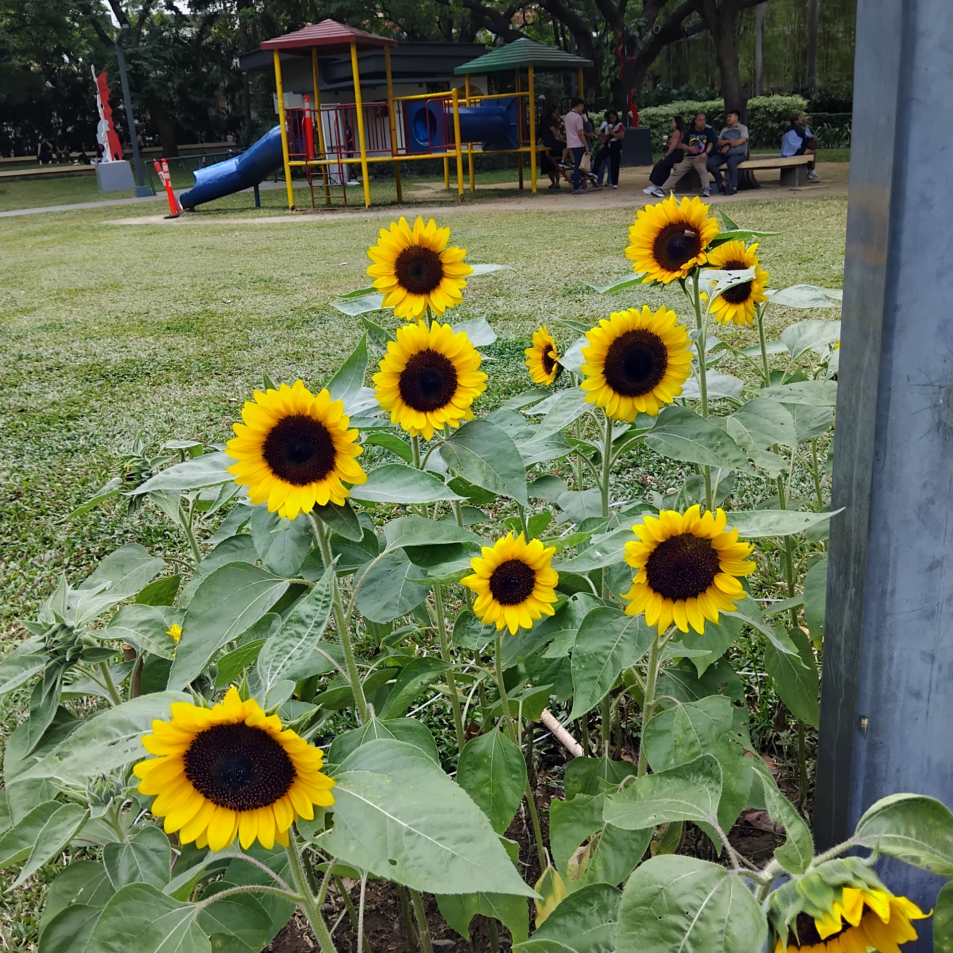 inbound2104404610072075357