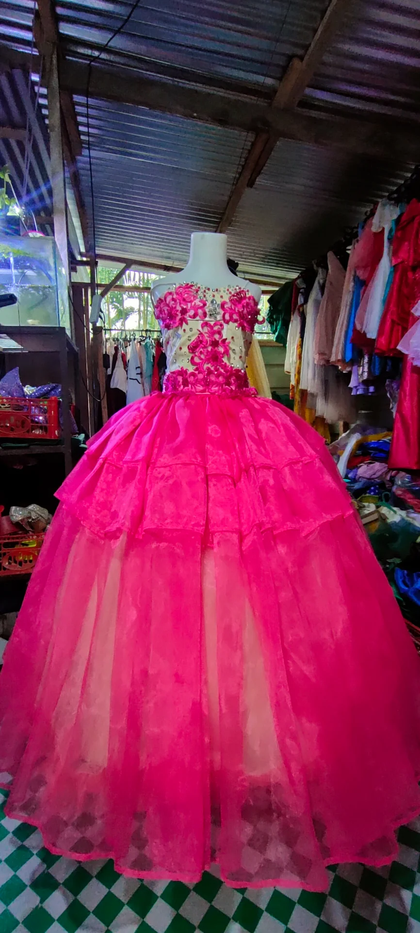 inbound6669589795622714012