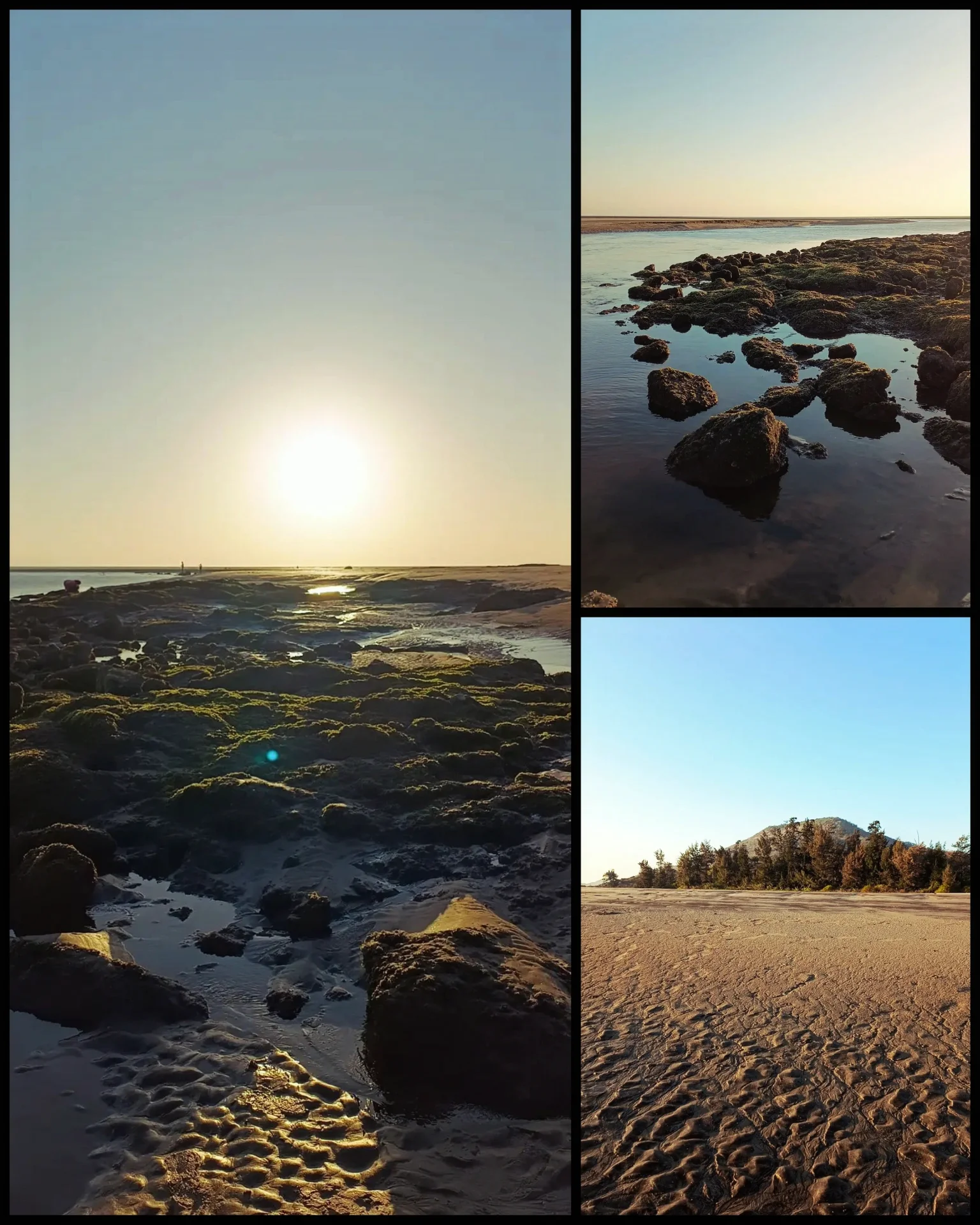 inbound6363736486190365057