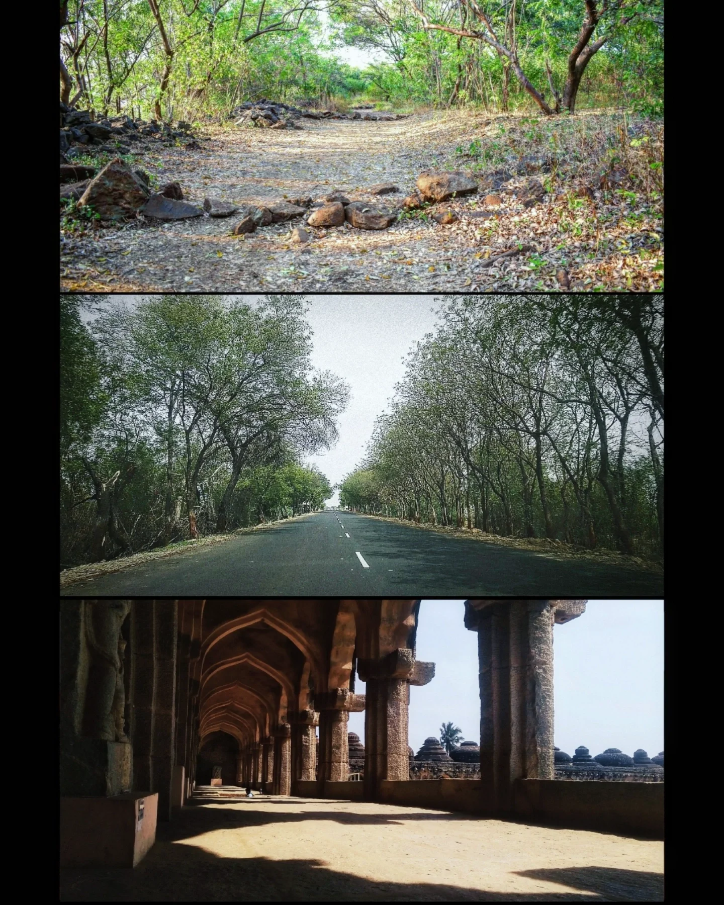 inbound6314909931054572870