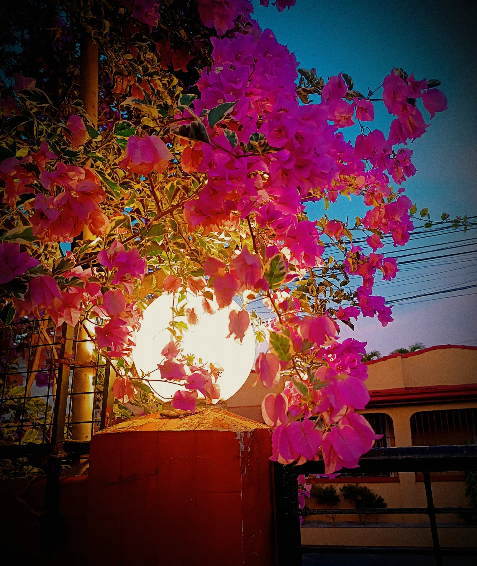 inbound8490188706554172362