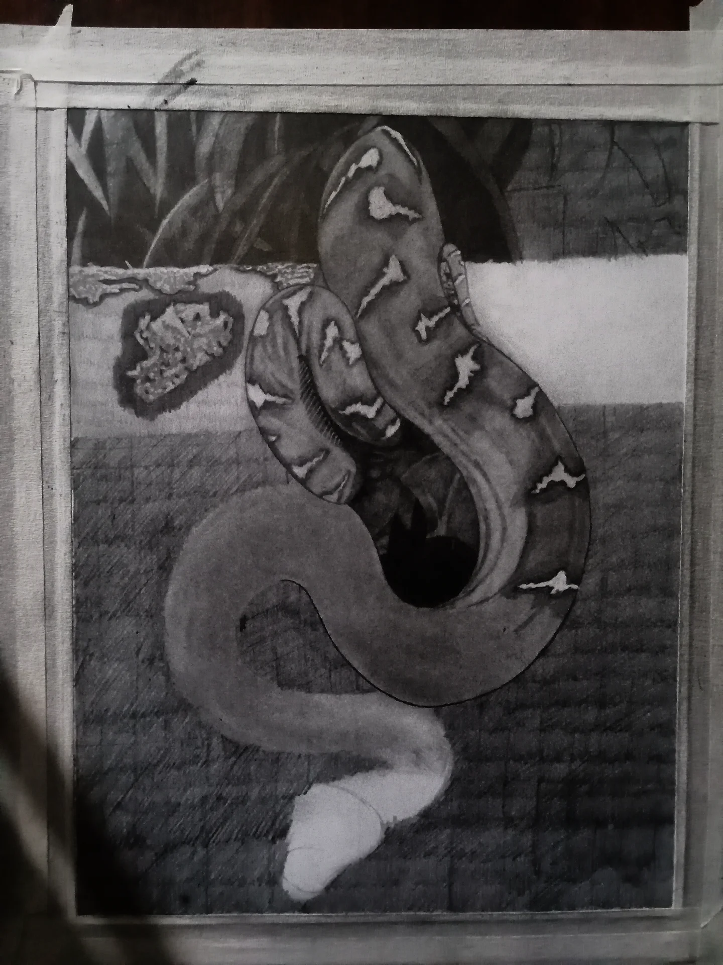 inbound4658429297049644814