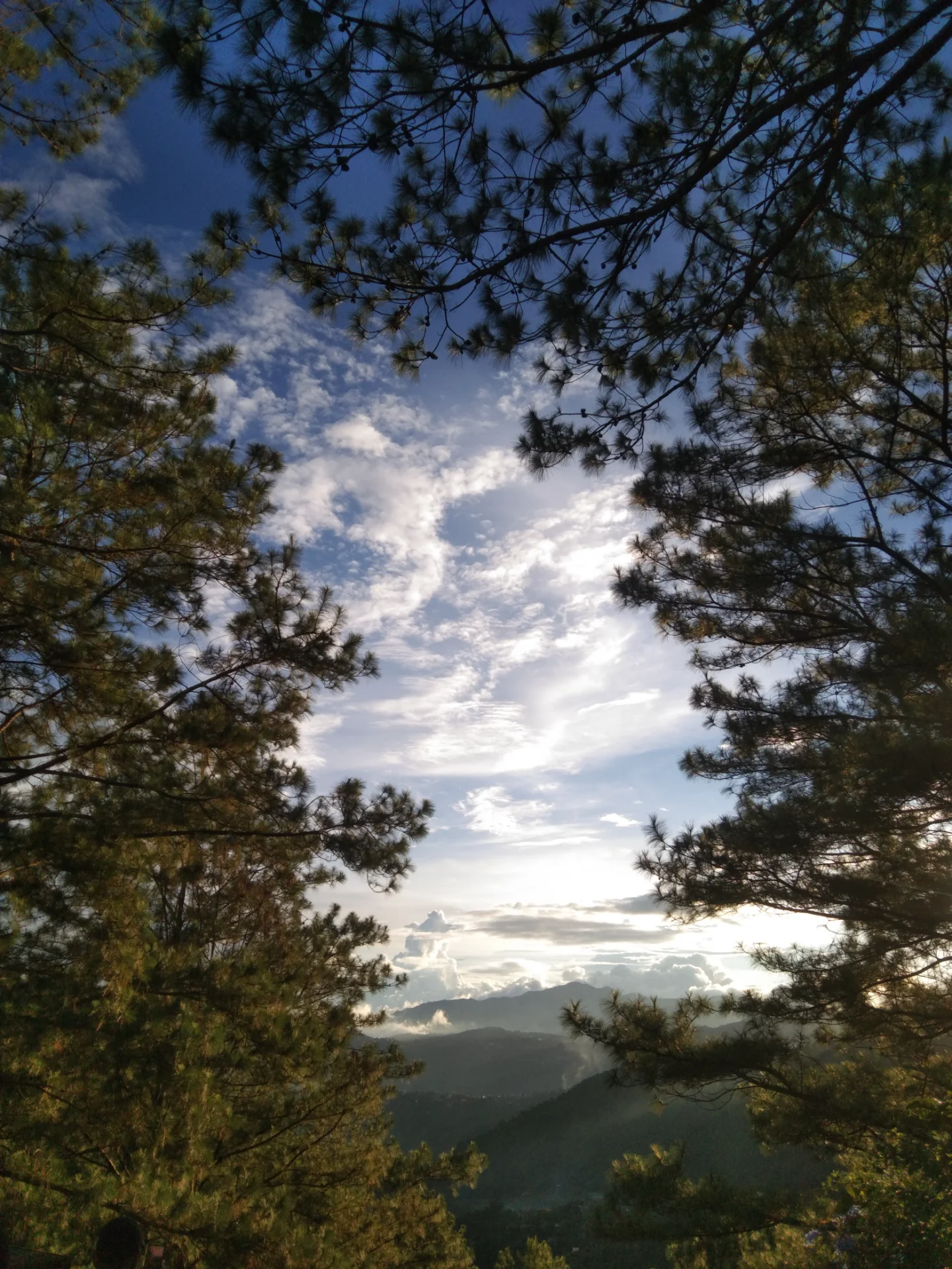 inbound3682261898712652385