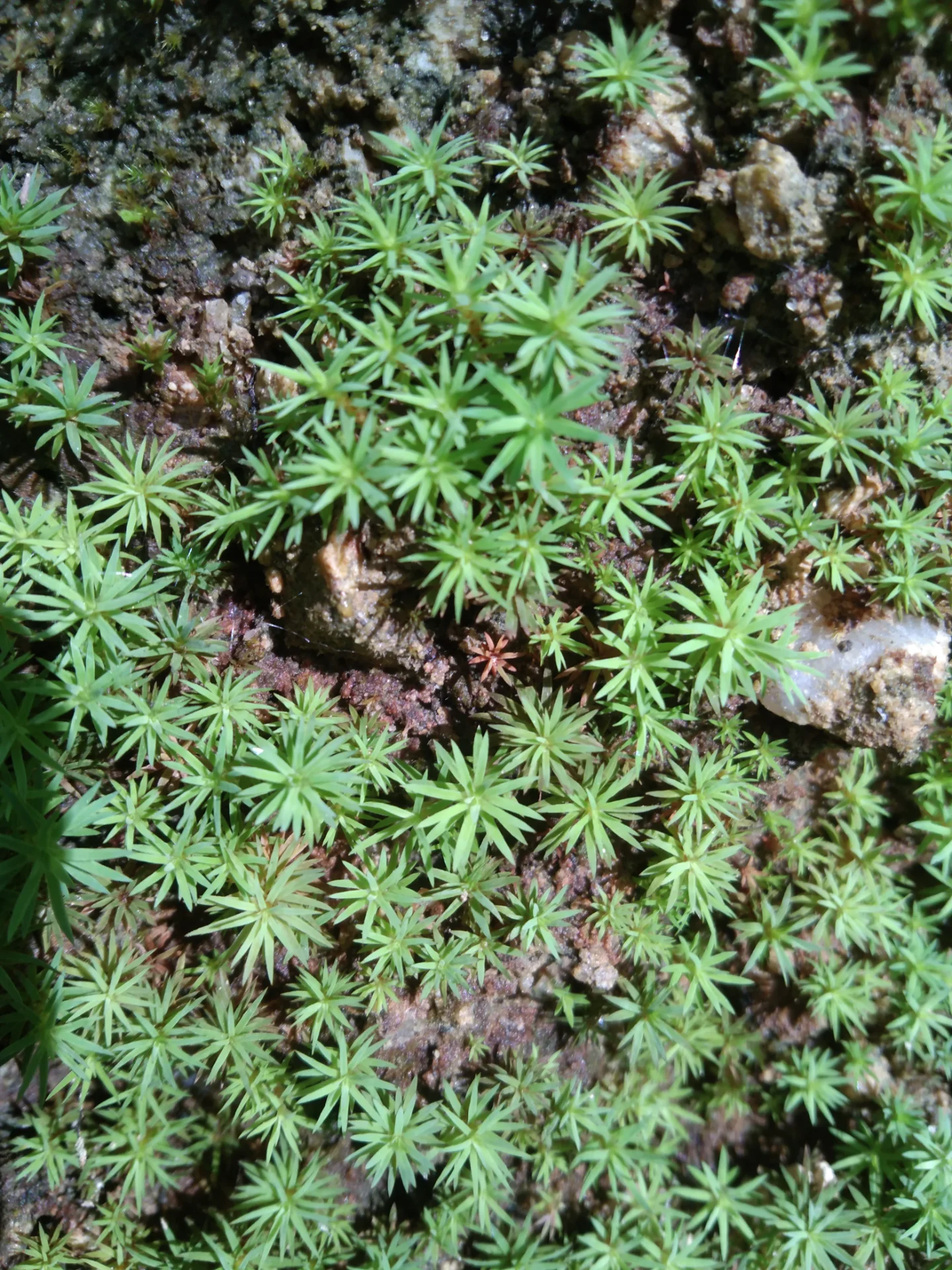 inbound2840720453494781298