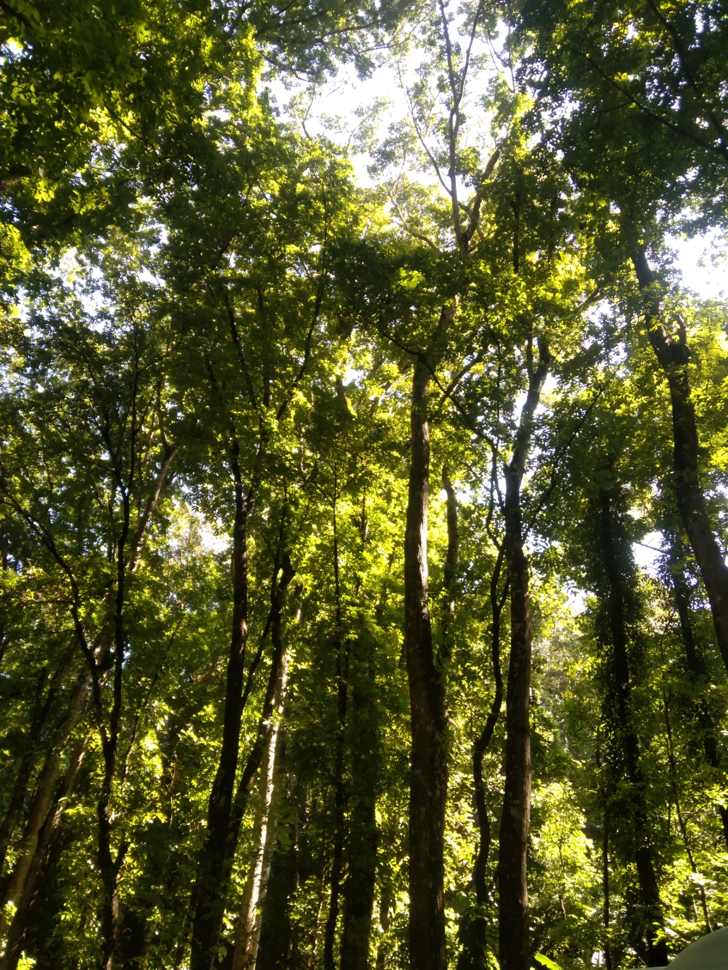 inbound8620003480640164439