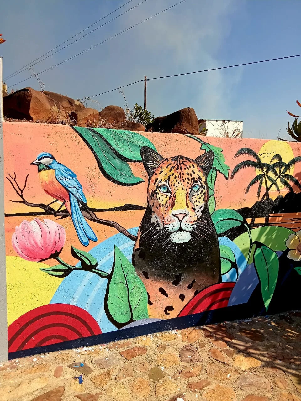 inbound6197428168357040833