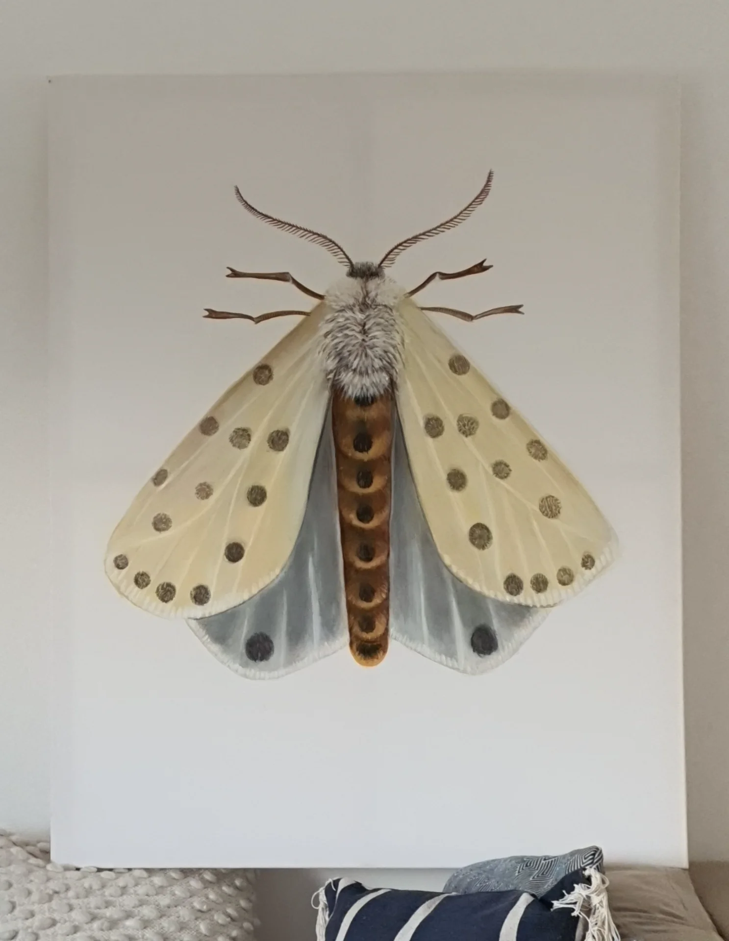 sharonmaytham portfolio work