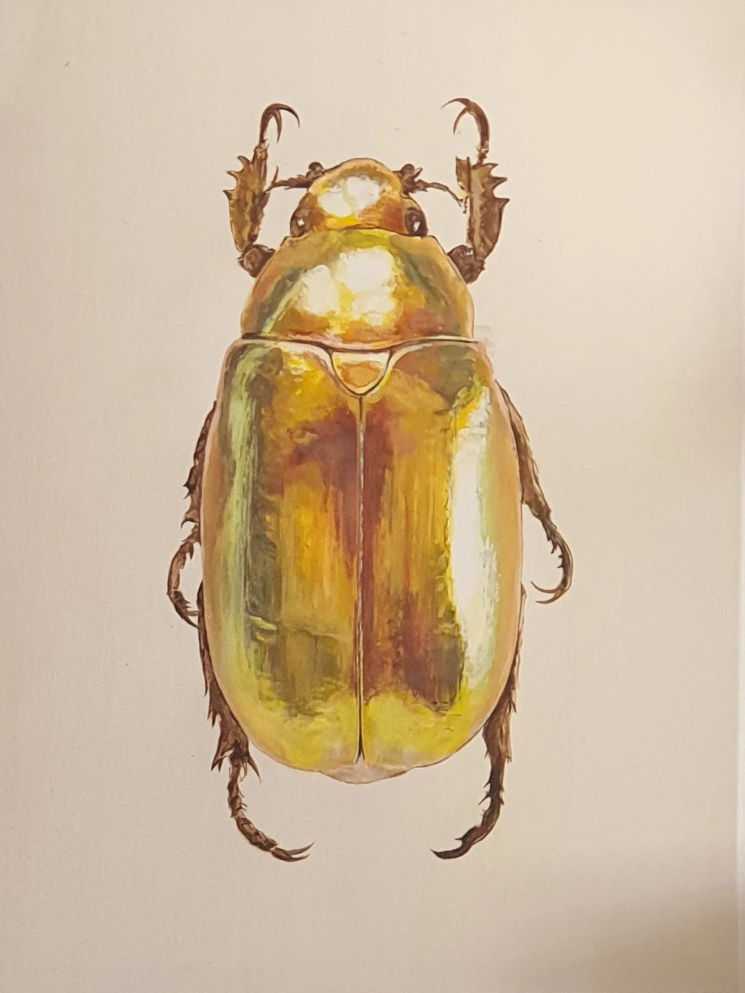 sharonmaytham portfolio work