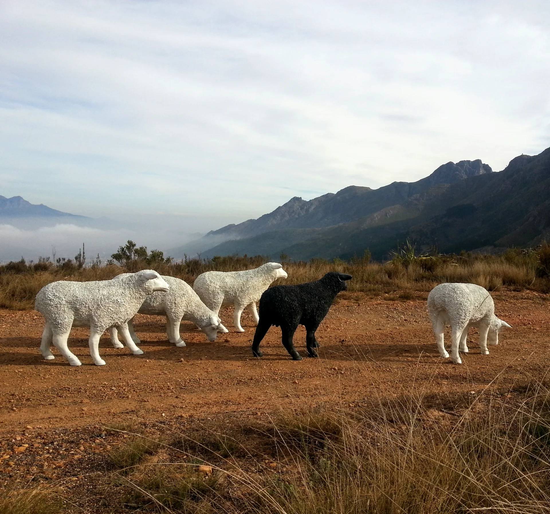 sharonmaytham portfolio work