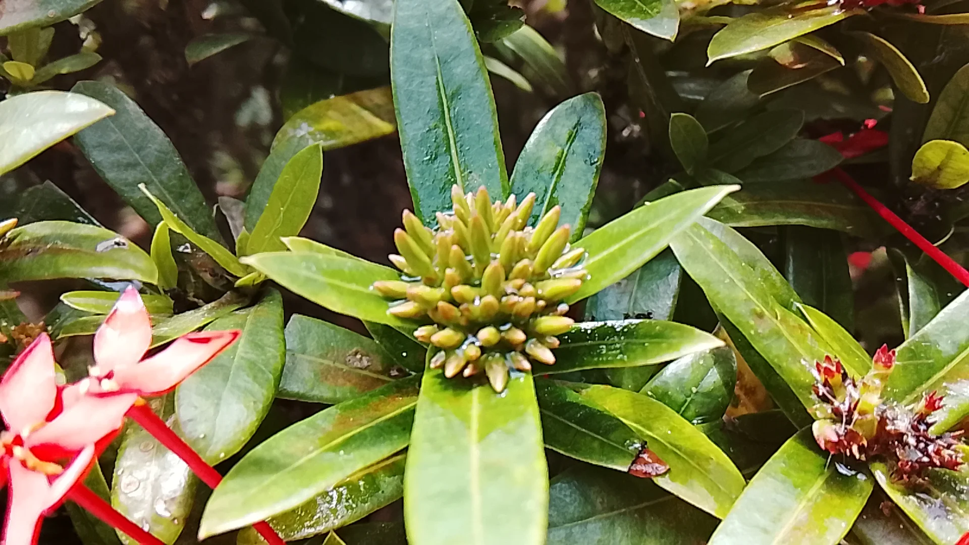 inbound2271157720456513383