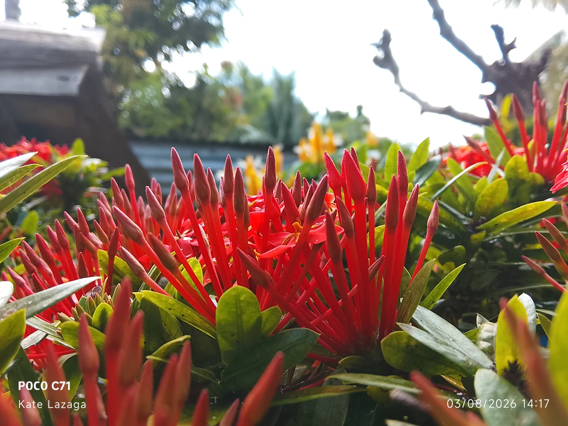 inbound315400118643424913