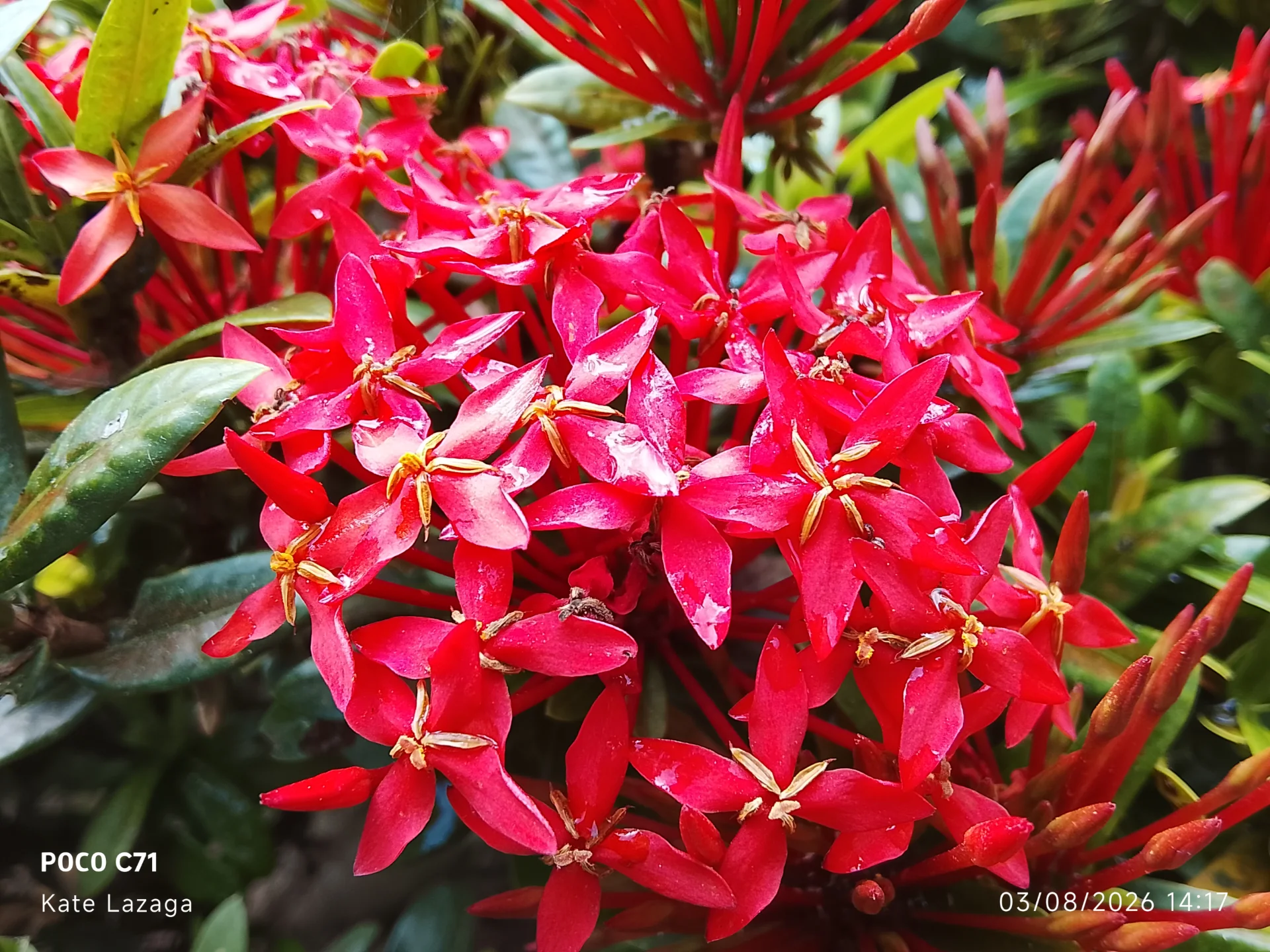 inbound6769207506794719560