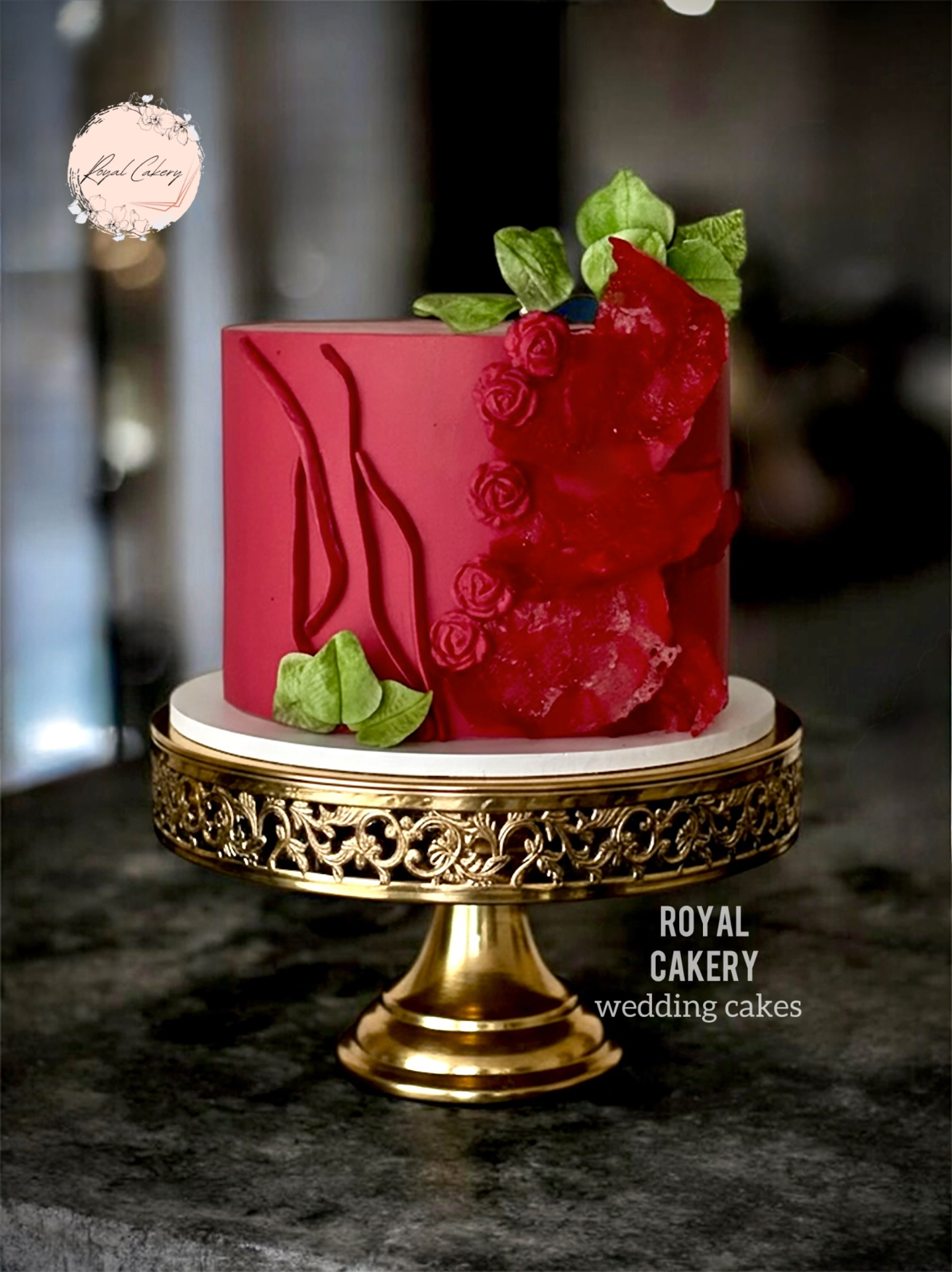 dolly2008 portfolio work