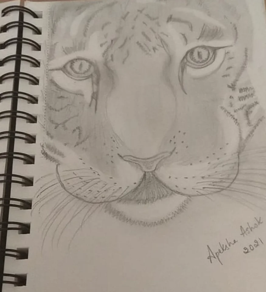 Screenshot_20260311_121725_Instagram