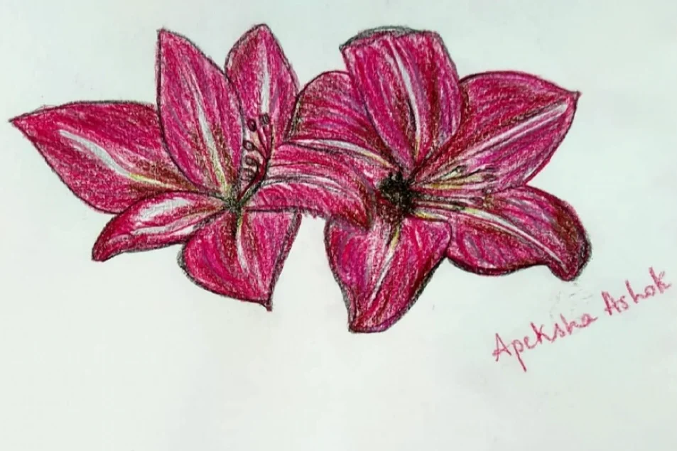 Screenshot_20260311_121737_Instagram