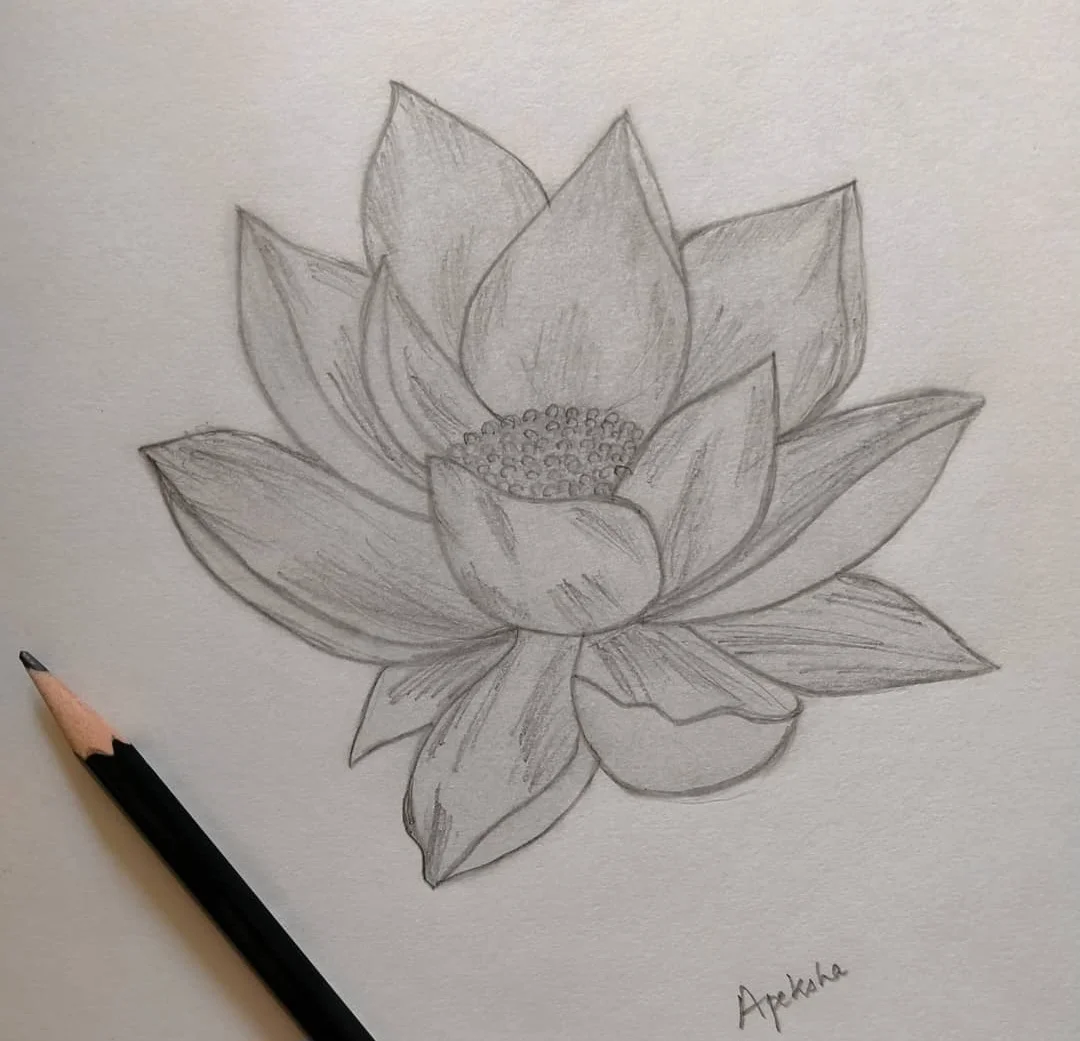 Screenshot_20260311_121547_Instagram