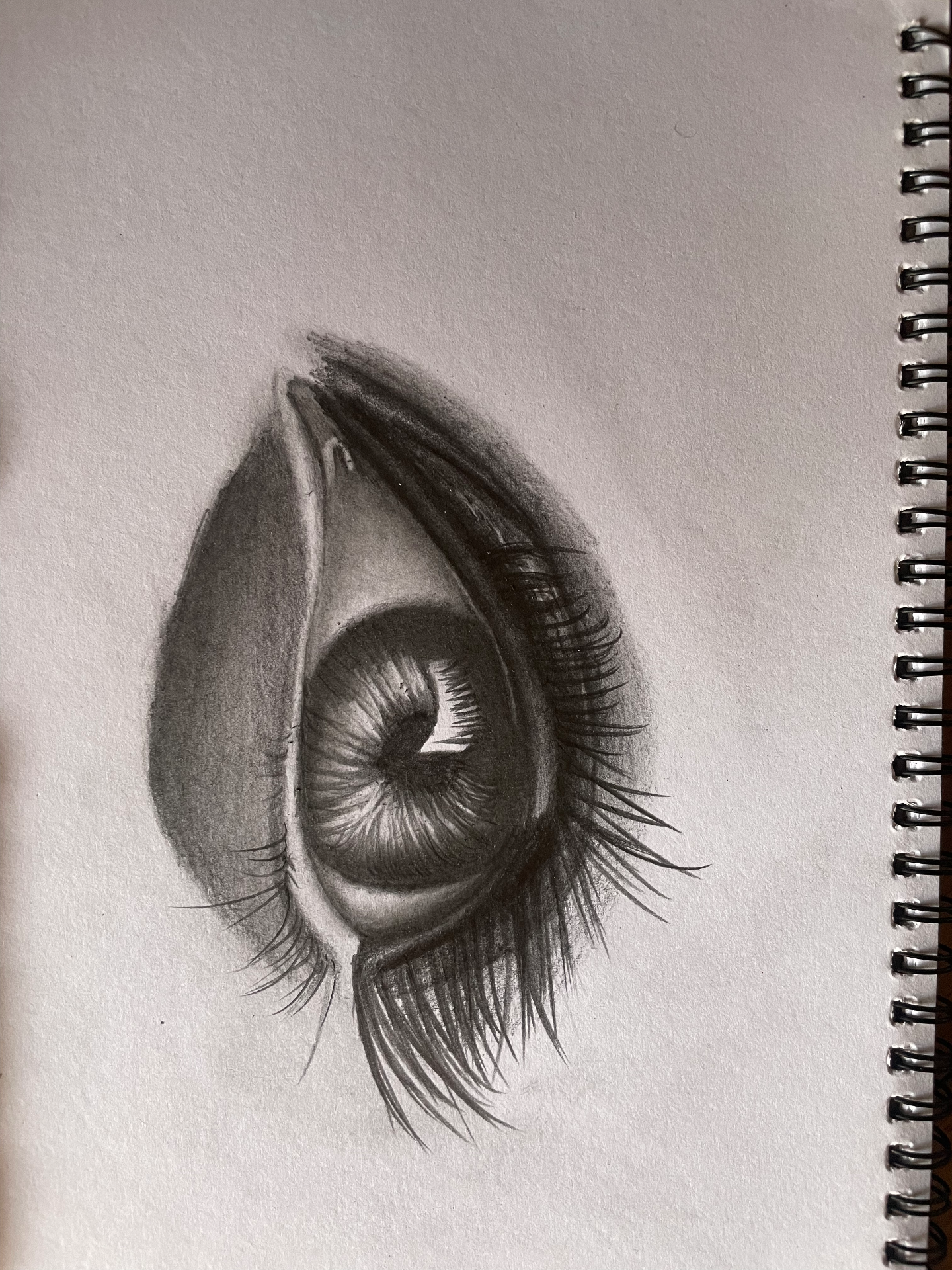 the_artistic_kpodo portfolio work