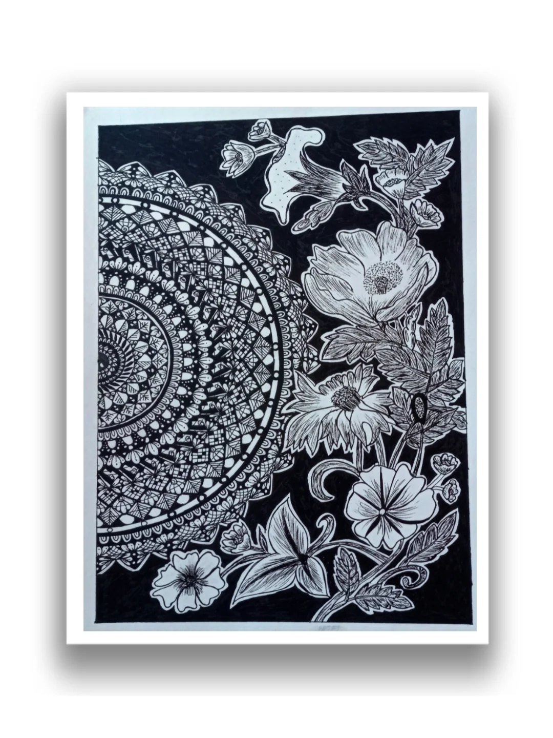 inbound6382143625284467217