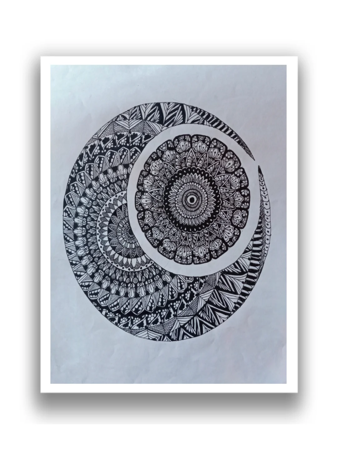 inbound3227026221790265562