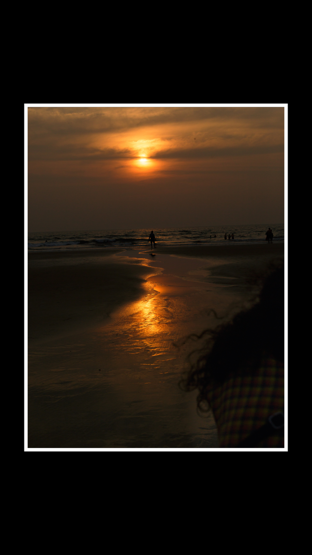 shrybohra1194 portfolio work