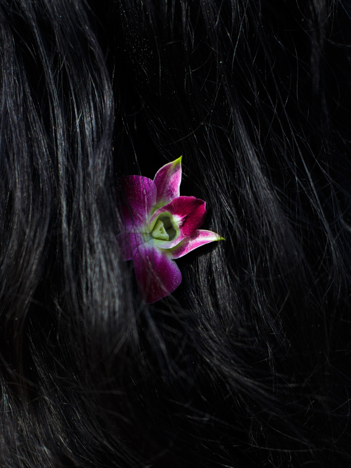 shrybohra1194 portfolio work