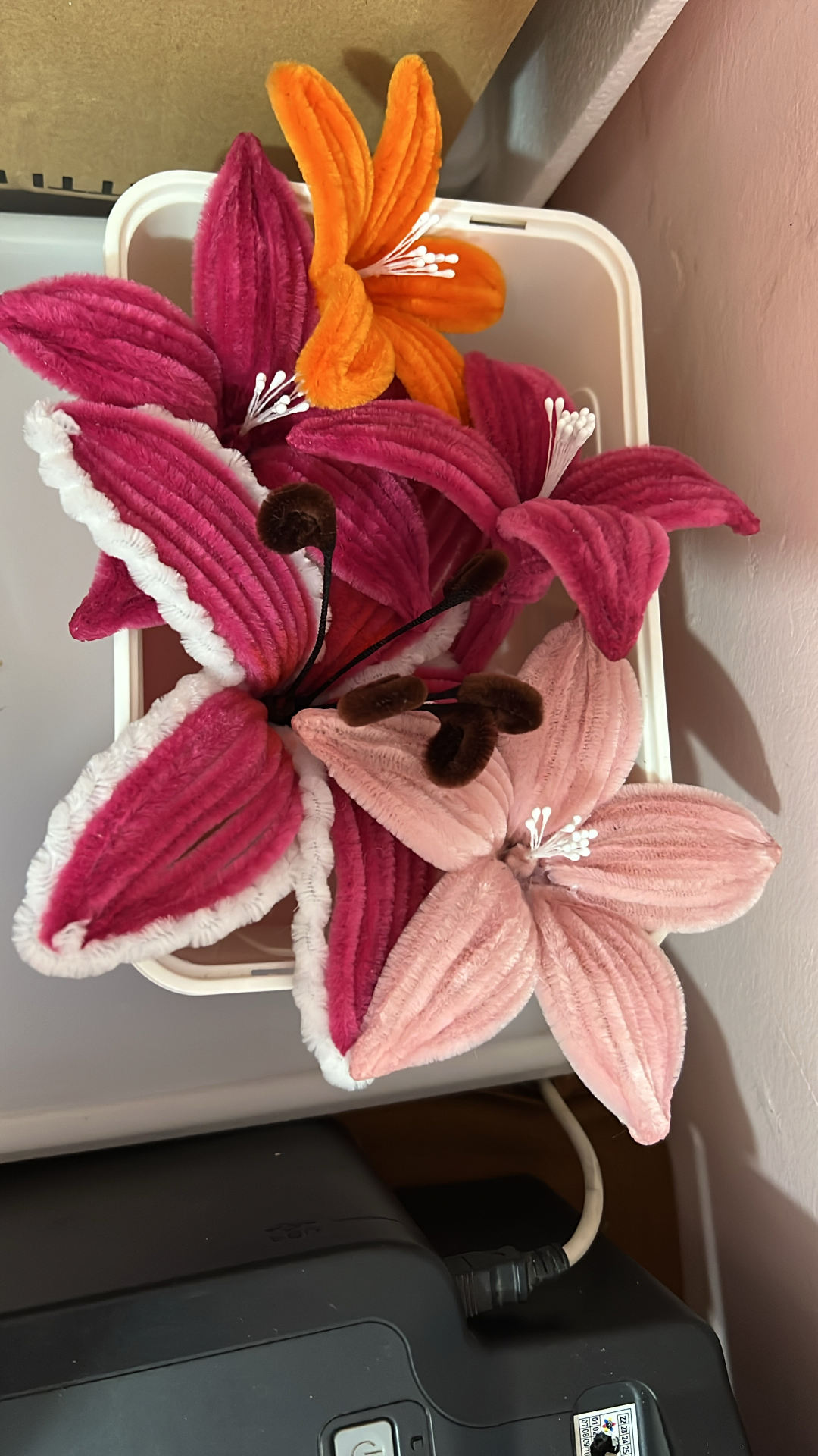 0BEE2B92-3BCF-49F7-837B-214EB8D5F5B5